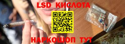 прущие грибы Можга