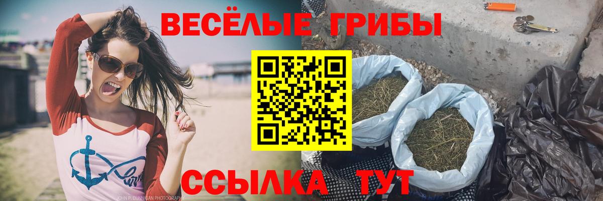 Жигулёвск  Галлюциногенные грибы прущие грибы  Вход с VPN 